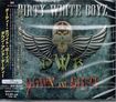 /DIRTY WHITE BOYZ / Down and Diry (国内盤）
