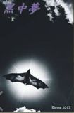 /黒中夢 / Demo 2017 (TAPE)
