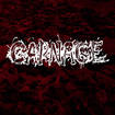 HEAVY METAL/CARNAGE / Massacre
