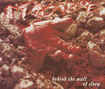 中古２/MACABRE / Behind The Wall Of Sleep (中古）