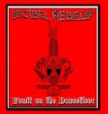 DECIBEL REBELS / Vomit on the Dancefloor (7hj []