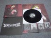 THRASH METAL/TERRORAMA / Omnipotence