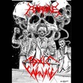 TOXIC CARNAGE/RAPTURE / Preachers of the Fallen Fate (split TAPE) []