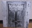 HEAVY METAL/NECROPHOBIC / Pesta (7”）