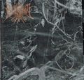RUNESPELL / Unhallowed Blood Oath []