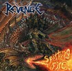 HEAVY METAL/REVENGE / Spitting Fire　（NEW！！）