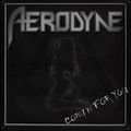 AERODYNE / Comin For You []