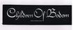 /CHILDREN OF BODOM / Logo (SS)