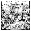 DISASTROUS MURMUR / Skinning Beginning 1989-1991 []