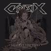 THRASH METAL/CRISIX / Against the Odds (slip)