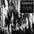 WOMBRIPPER / From the Depths of Flesh []