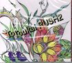 DVD/V.A / Toukai RUSH 2 (CD/DVD)