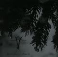 VINTERRIKET / Nachtschwarze Momente []