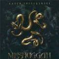 MESHUGGAH / Catch Thirtythree []