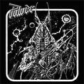 PULVER / Pulver (7hj []