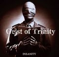 GEIST OF TRINITY / Insanity (TFXebJ[j  []