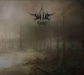 WILT / Ruin (digi) []
