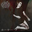 /NOW EVERYTHING FADES / Suicide Theatre