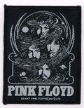 PINK FLOYD / Member (SP) []