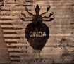 /GNIDA / S.Y.F