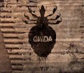GNIDA / S.Y.F []
