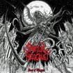/SPIRITUAL HOLOCAUST / Feast of Maggots