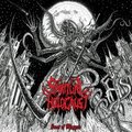 SPIRITUAL HOLOCAUST / Feast of Maggots []