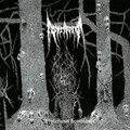 STRIBORG / Mysterious Semblance (2018 reissue) []