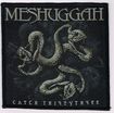 /MESHUGGAH / Catch 33 (SP)