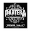 SMALL PATCH/Metal Rock/PANTERA / Stronger than All (SP)
