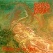 /MORBID ANGEL / Blessed Are The Sick (Full Dynamic Range) (digi)