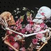 /DELAIN / Hunter's Moon (CD+Blu-ray)