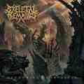 SKELETAL REMAINS / Devouring Mortality []