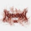 /NUMENOREAN / Home (slip)