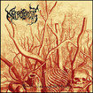 /NECROBIOSIS / The Pile of Decayed Entrails (90's フィンデス　全音源集）