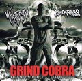 WHILE THE CITY BURNS/KANDARIVAS / Grind Cobra (split) []