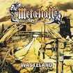 HEAVY METAL/METALIAN / Wasteland (2019 reissue)
