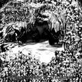 DEATHSWARM / Shadowlands of Darkness (SARCASM) []