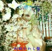 JAPANESE BAND/市姫 / 幻妖かわら盤(未公開曲集)