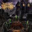/CEREBRAL SECRETION / Infinite Realms Of Decay 