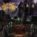 CEREBRAL SECRETION / Infinite Realms Of Decay  []