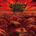 IMPLEMENTS OF HELL / Sea of Necrophenomena (slip) []