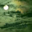 /FORSAKEN DREAMS / Shadows of the Past