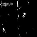 DZLVARV / Dzlvarv@i1995 DEMO) []