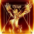 PICTURE / Wings []