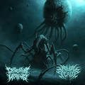 DISSOCIATIVE HEALING / REPULSIVE CREATION / split []