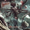 FATUOUS RUMP / Brutality []