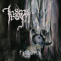 IN SINS I ROAM / Forgotten []