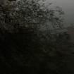 /the River / Vessels into White Tides (推薦盤！）
