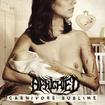 /BENIGHTED / Carnivore Sublime
